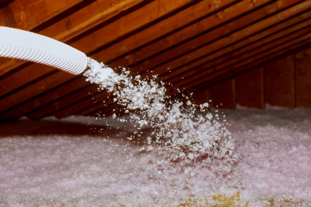 Best Residential Insulation in Chesaning, MI