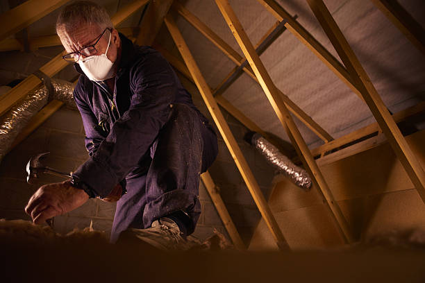 Trusted Chesaning, MI Insulation Contractor Experts