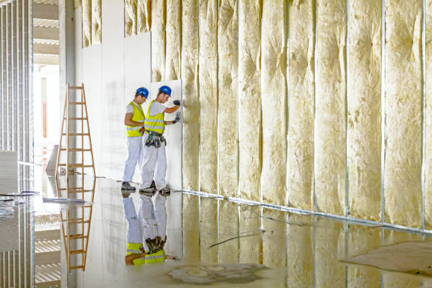 Best Spray Foam Insulation in Chesaning, MI